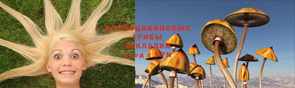 PSILOCYBIN Вязьма