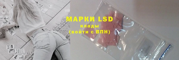 PSILOCYBIN Вязьма