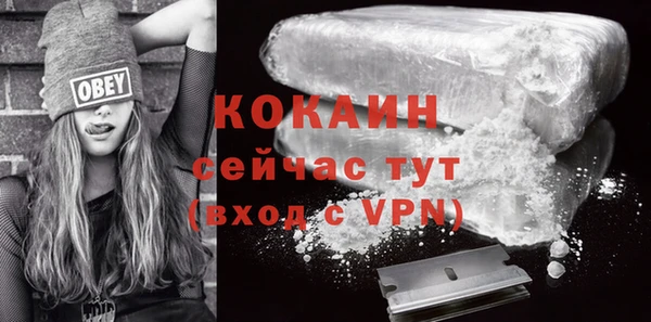 твердый Вязники