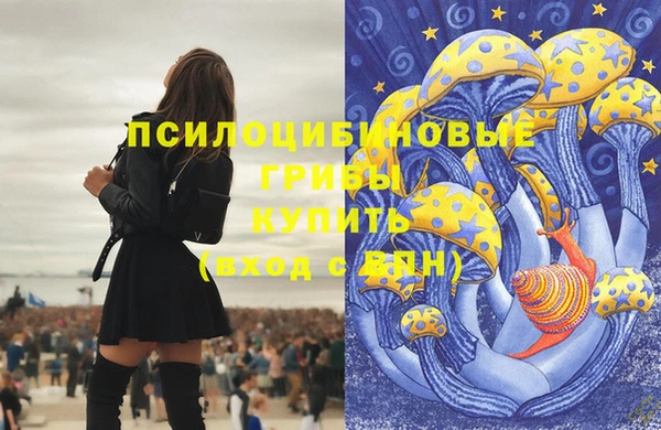 твердый Вязники