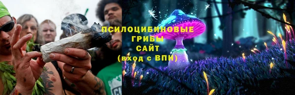 гидропоника Володарск