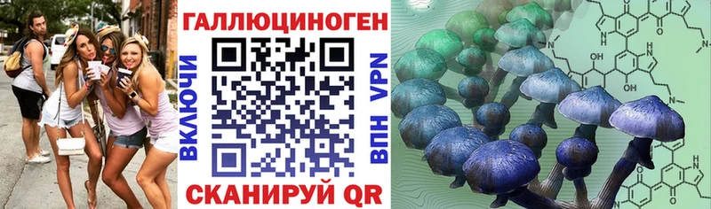 Галлюциногенные грибы GOLDEN TEACHER Мариинск